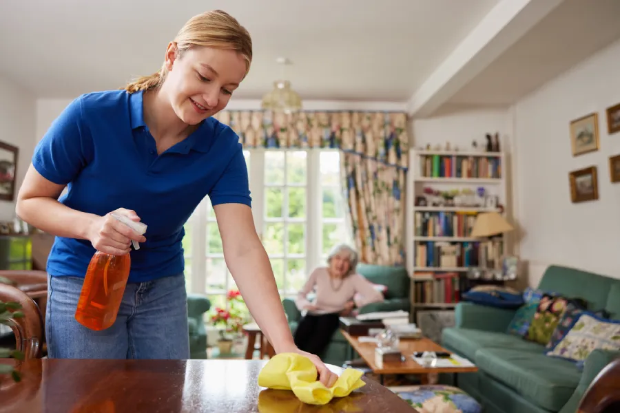 Home cleaning